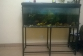 Fish Tank For Sale.