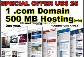 Domain and hosting just US$ 25.